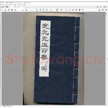 定九先生印存.pdf