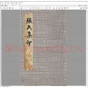张氏集印.pdf