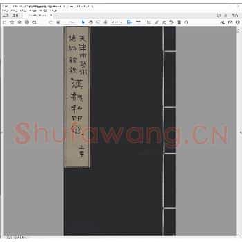 天津市艺术博物馆藏汉魏私印选.庚申年.pdf