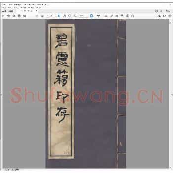 碧虑簃印存.pdf