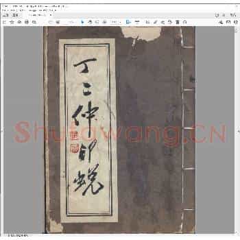 丁二仲印蜕.pdf