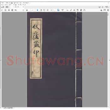 伏卢藏印.pdf