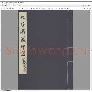 九石斋藏印选.pdf