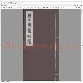 鲁大东篆刻选.pdf