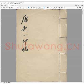 唐起一印稿.pdf