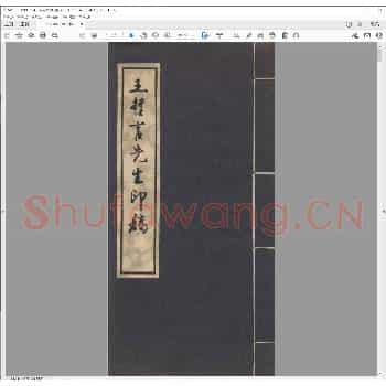 王哲言先生印稿.pdf