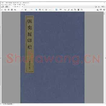 张奕辰印痕.pdf