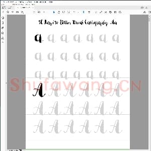 英文字母练习字帖：30天英文字母完整版字帖.pdf