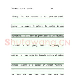 小学生英语专用字帖：英语最常用练字字帖.jpeg