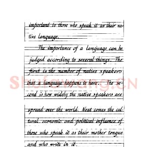 英文字母练习字帖：英文书法手写字帖.jpeg