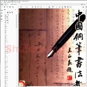 王正良硬笔书法 中国钢笔书法教程.pdf