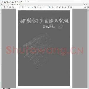 硬笔书法 中国钢笔书法大字典.pdf
