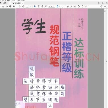 顾仲安 学生规范钢笔正楷等级达标训练.pdf
