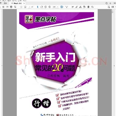 荆霄鹏《新手入门常见的20个问题》行楷.pdf