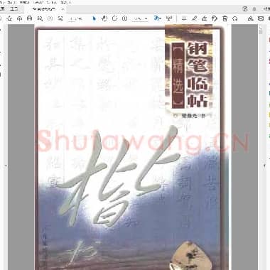 梁鼎光 楷书 钢笔临帖.pdf