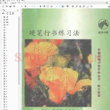 庞中华 王玉孝 硬笔行书练习法.pdf