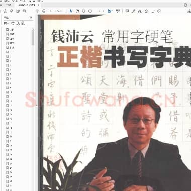 钱沛云 常用字硬笔正楷书写字典.pdf