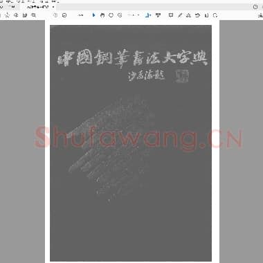 沙孟海 中国钢笔书法大字典.pdf