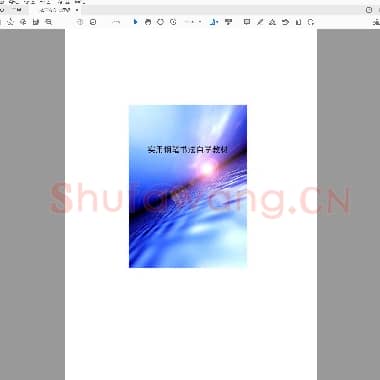 王宝心 实用钢笔书法自学教材.pdf