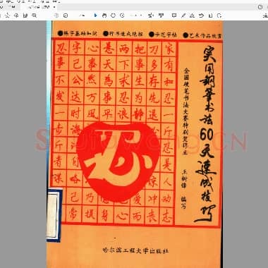 王树锋 实用钢笔书法60天速成技巧(手写稿）行书.pdf