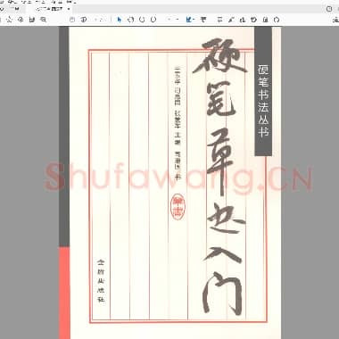 王玉孝 司惠国 张爱军主编 硬笔草书入门.pdf