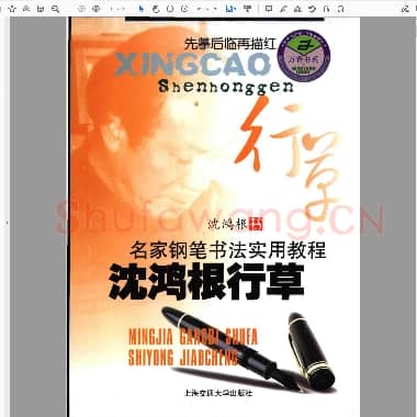 沈鸿根 行草.pdf