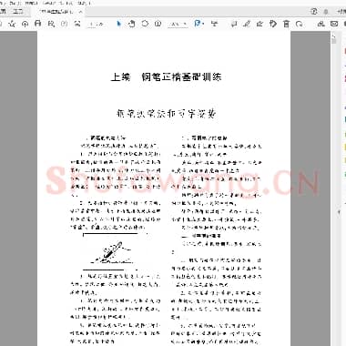 顾仲安 学生规范钢笔正楷等级达标训练.pdf