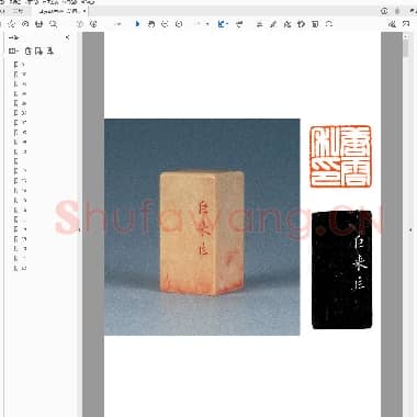 陈巨来印选.PDF|3.69 MB