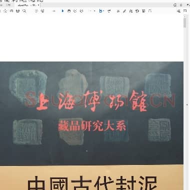 上海博物馆藏品研究大系 中国古代封泥.pdf