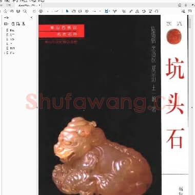 寿山石赏识 名贵石种 坑头石.pdf