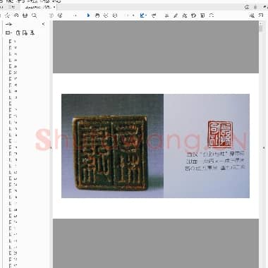 杨鲁安藏珍馆印章精选.pdf