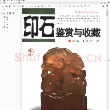 印石鉴赏与收藏.pdf