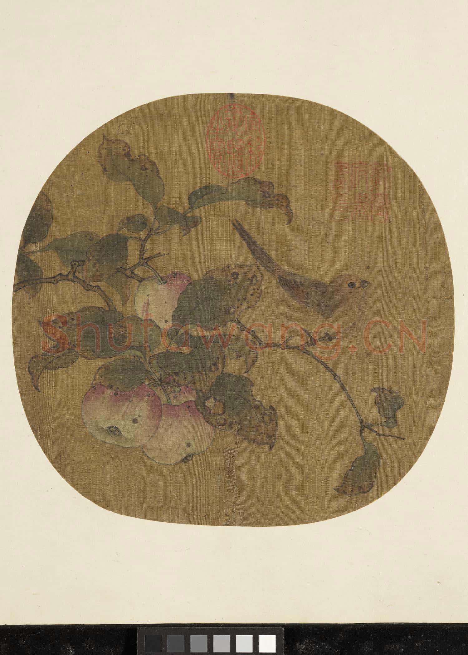 藝苑藏真(上)冊 五代黃筌蘋婆山鳥