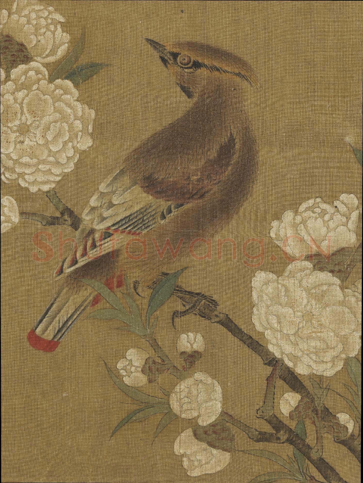 宋元名繪 冊 五代黃筌桃花山鳥圖