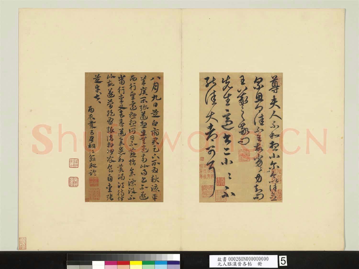 元人臨漢晉各帖 冊 俞和臨張芝書
