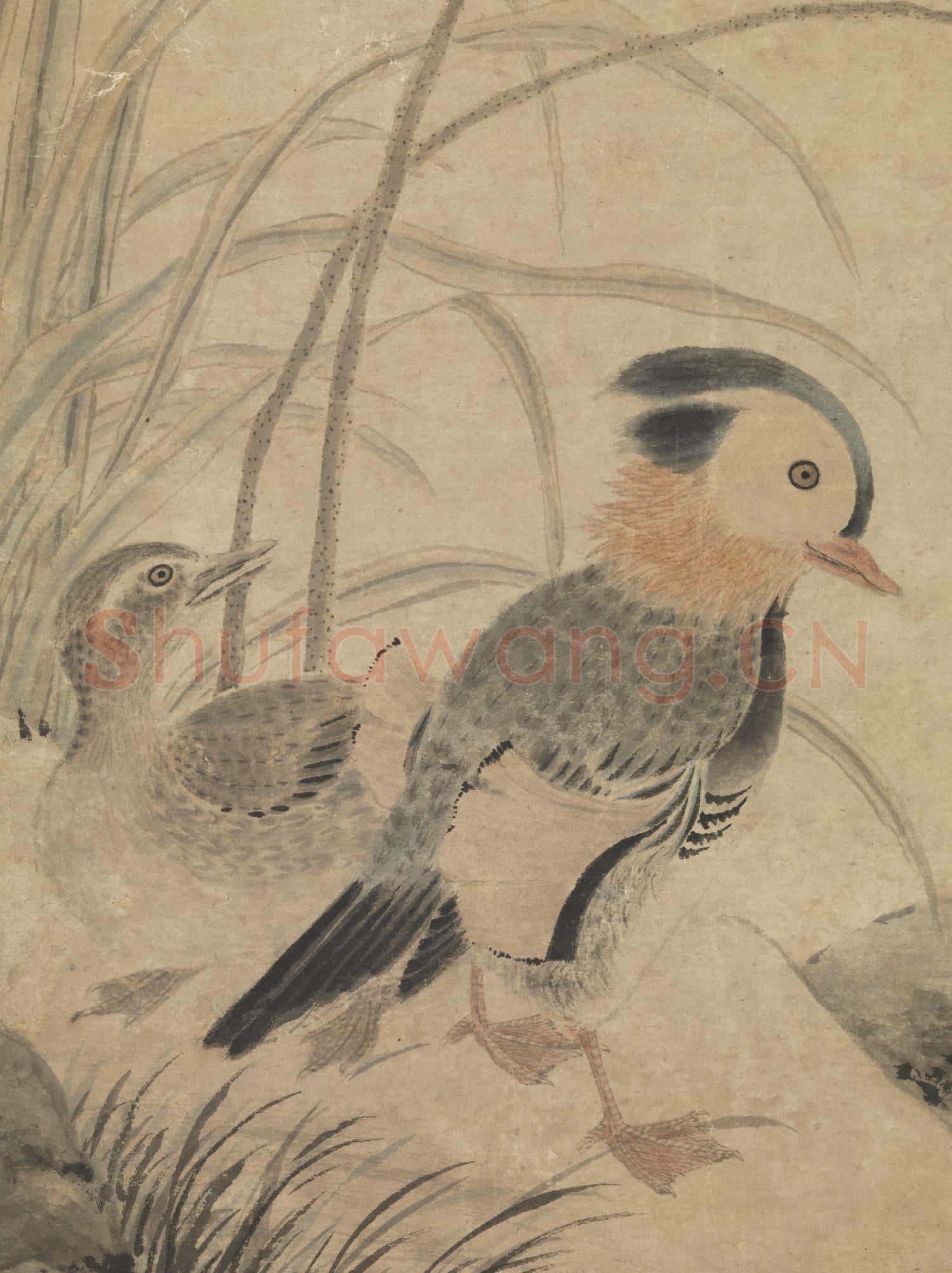 元張中枯荷鸂鶒 軸