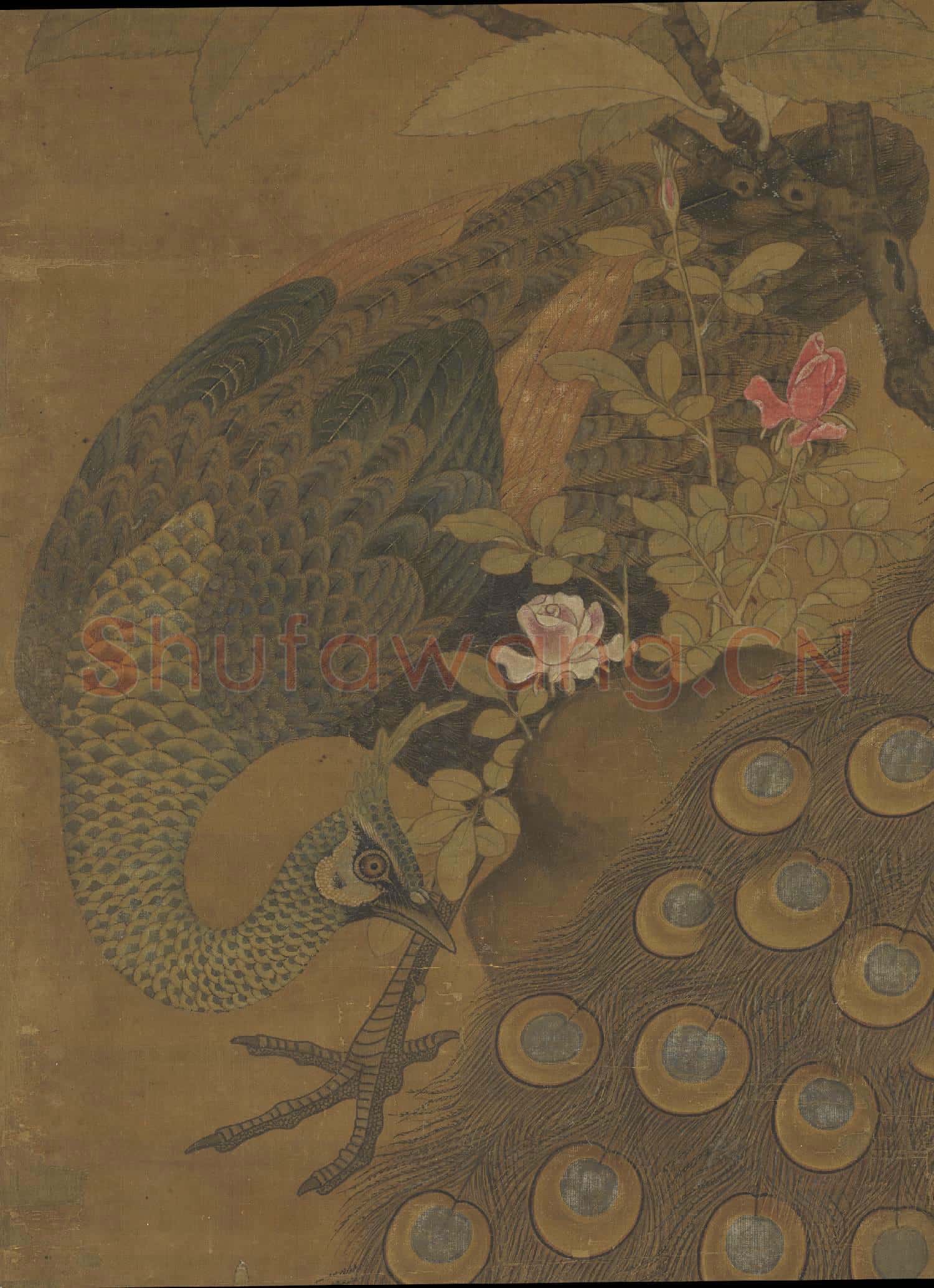 宋崔白畫枇杷孔雀 軸