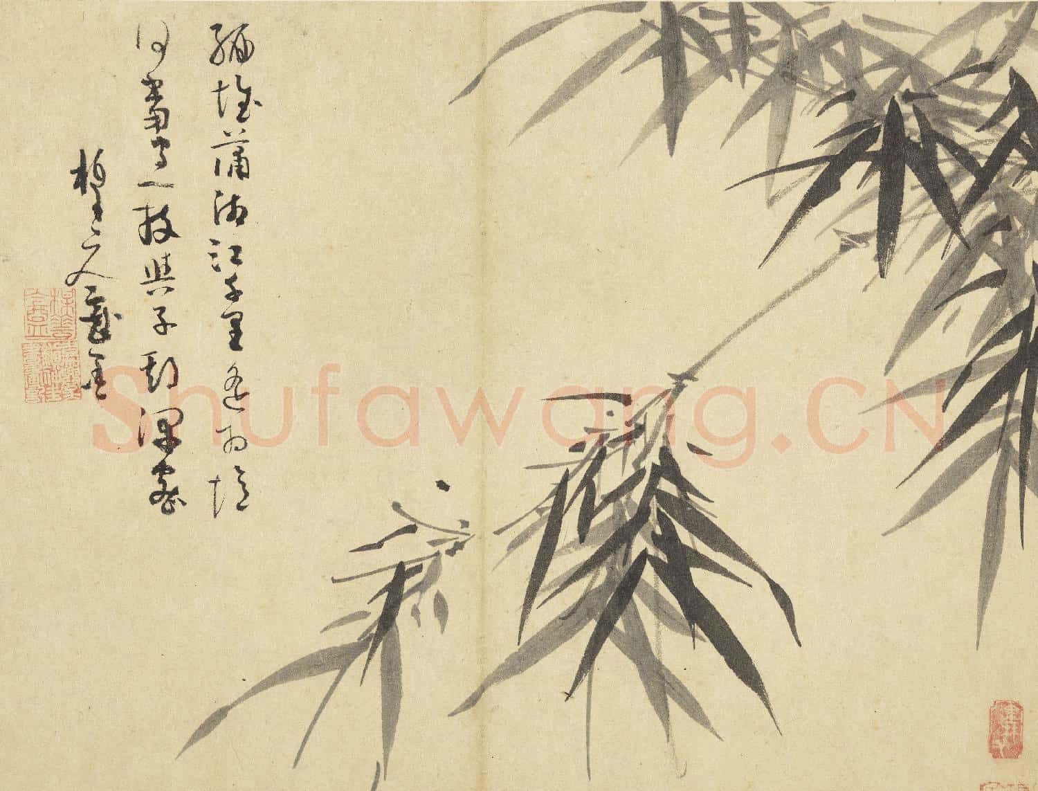元吳鎮墨竹 冊 墨竹(八)