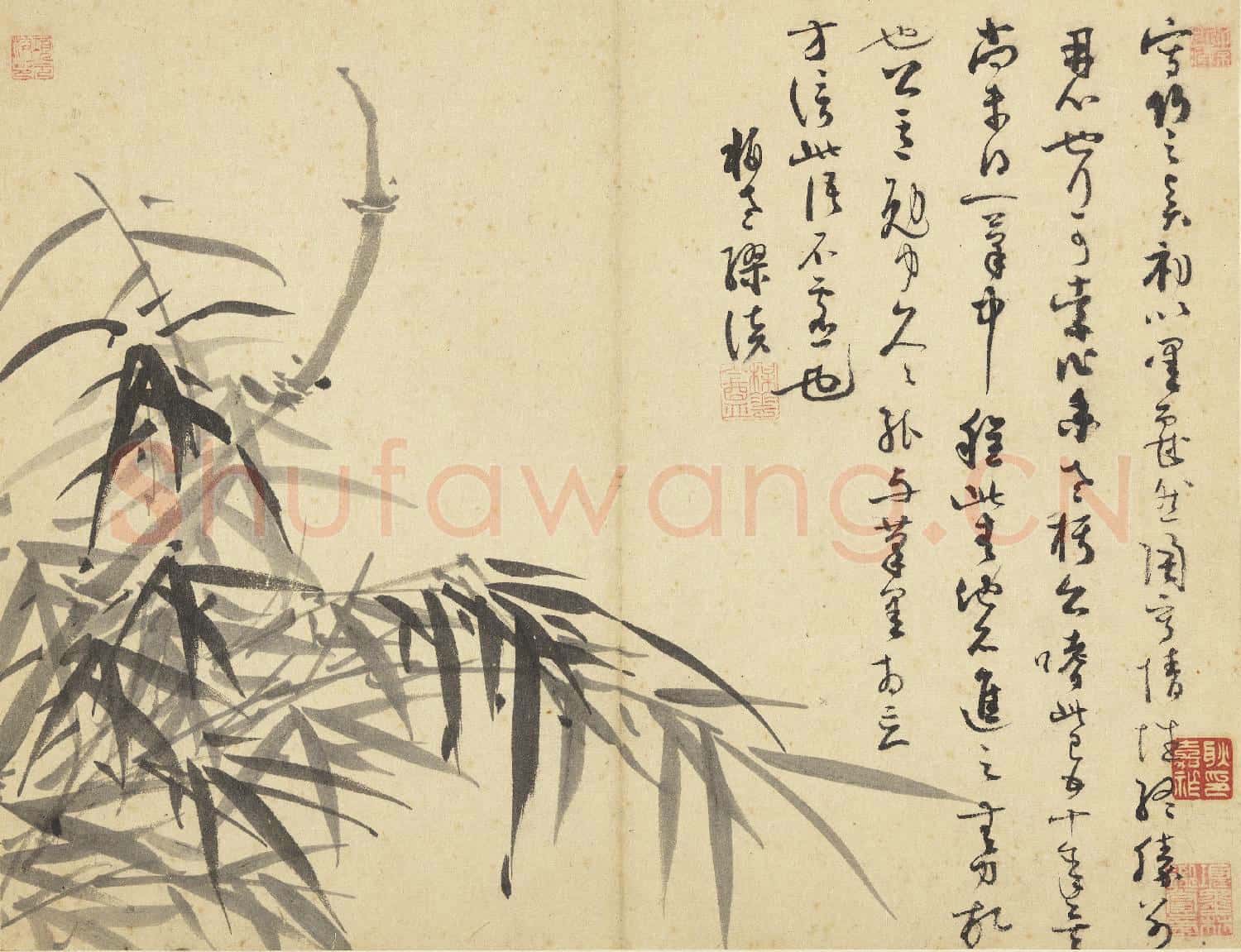 元吳鎮墨竹 冊 墨竹(十二)