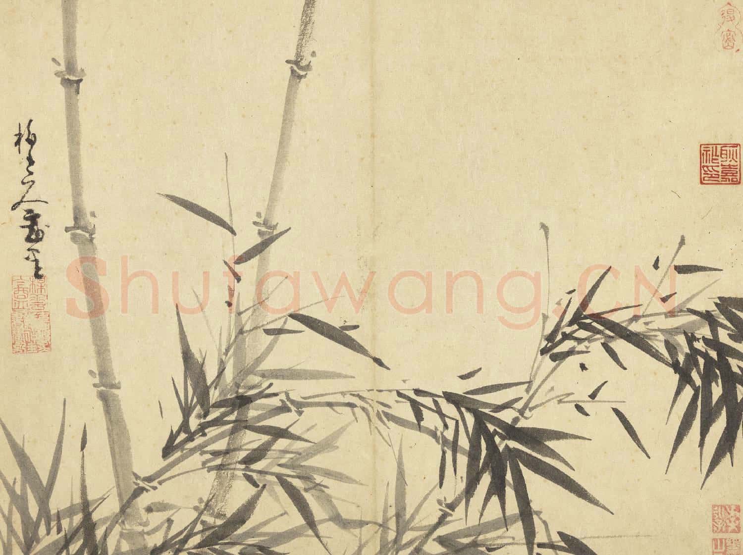 元吳鎮墨竹 冊 墨竹(十八)