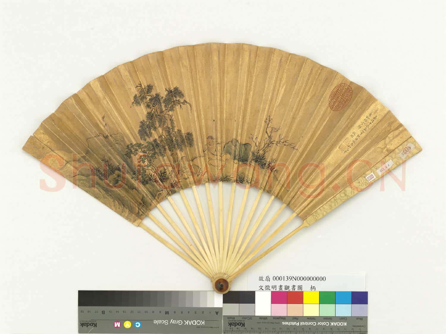 明文徵明畫觀書圖 成扇