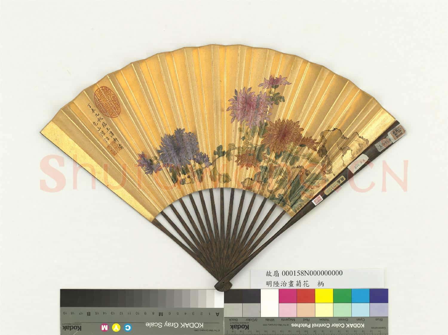 明陸治畫菊花 成扇