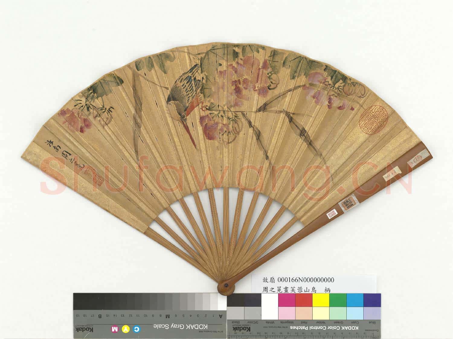 明周之冕畫芙蓉山鳥 成扇