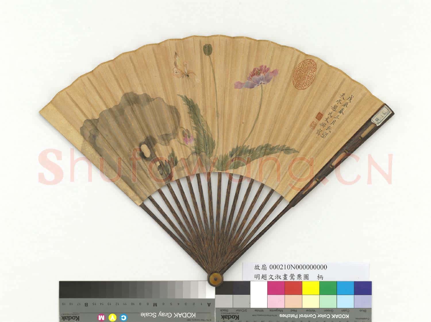明趙文俶畫鶯栗圖 成扇