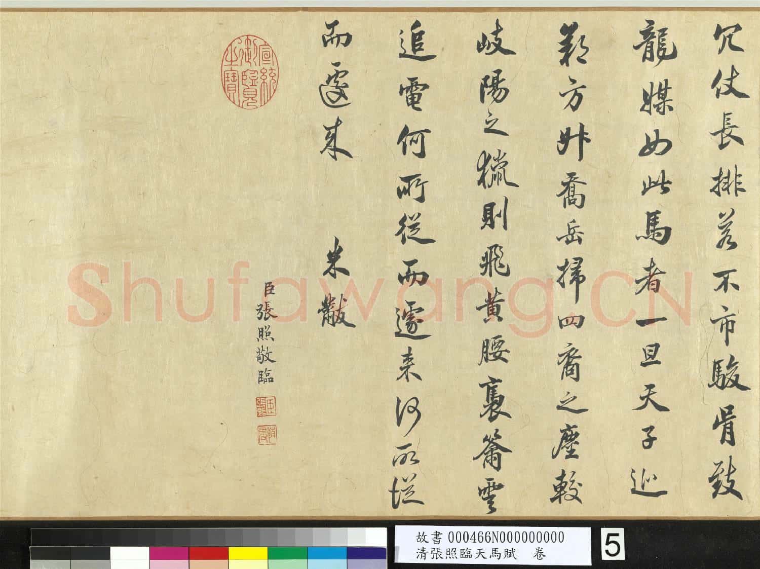 清張照臨天馬賦 卷