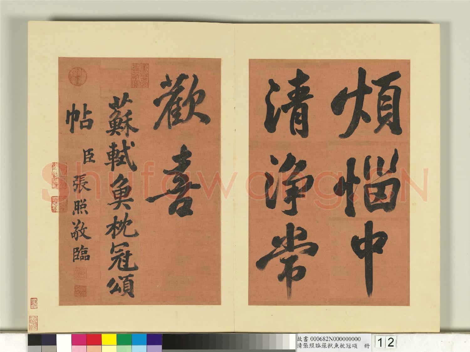 清張照臨蘇軾魚枕冠頌 冊