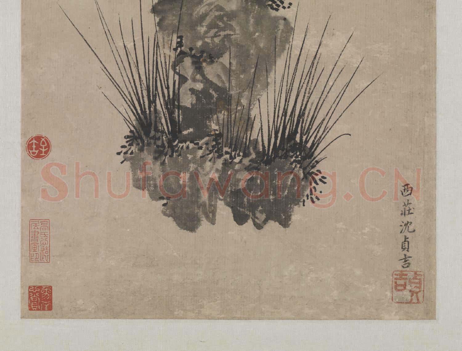 明沈貞吉畫菖蒲 軸