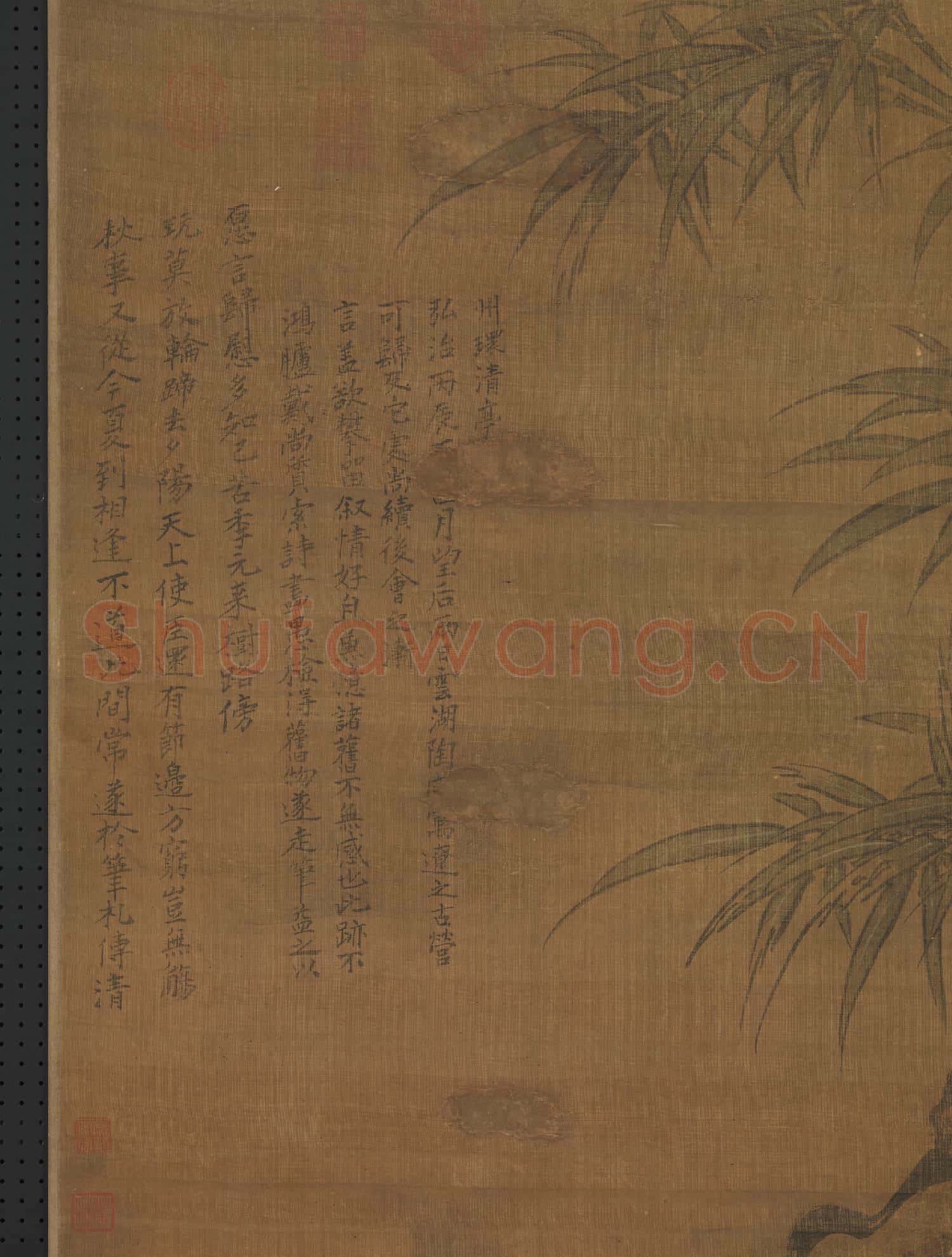 明陶成菊花雙兔圖 軸
