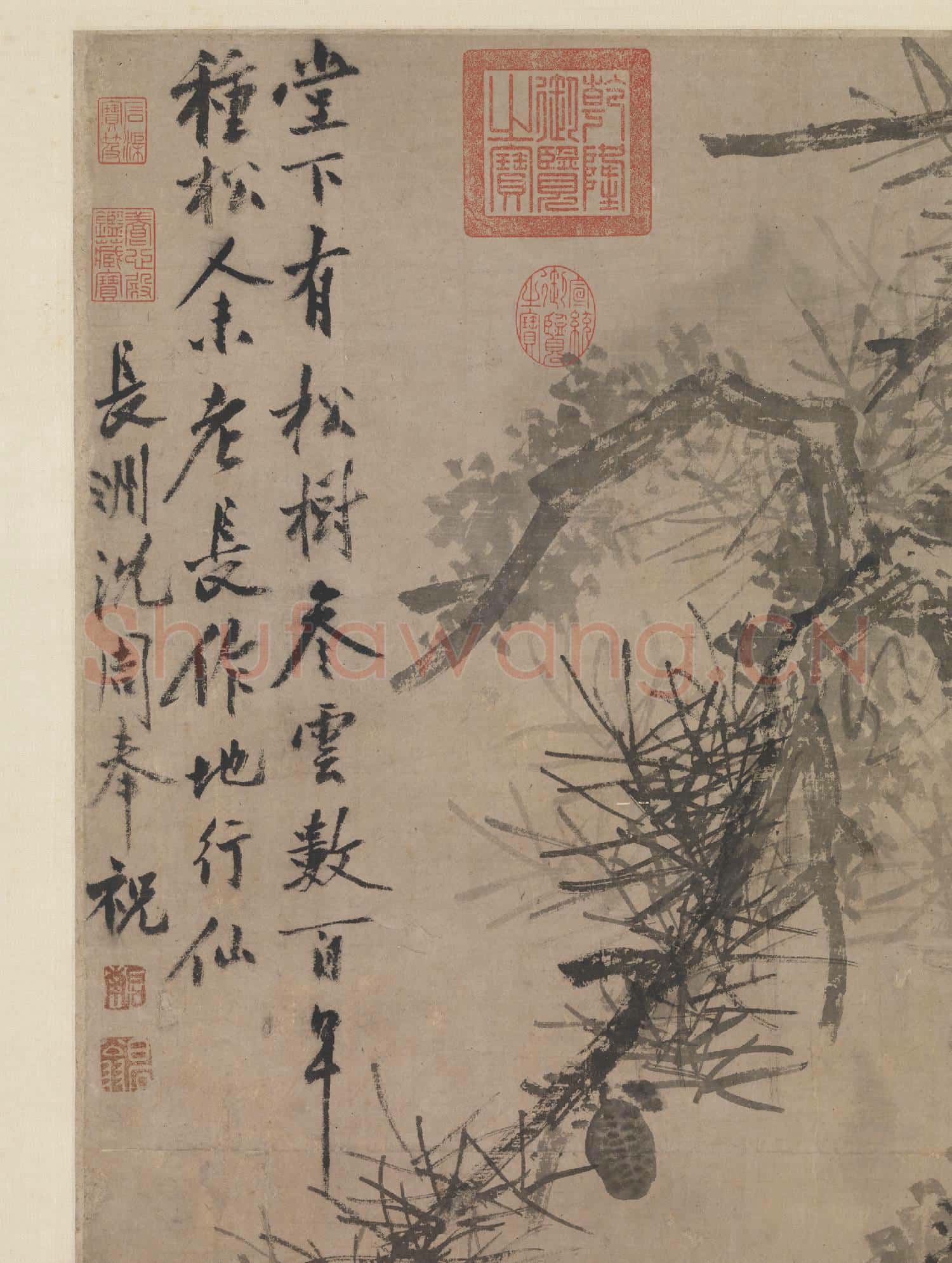 明沈周古松圖 軸