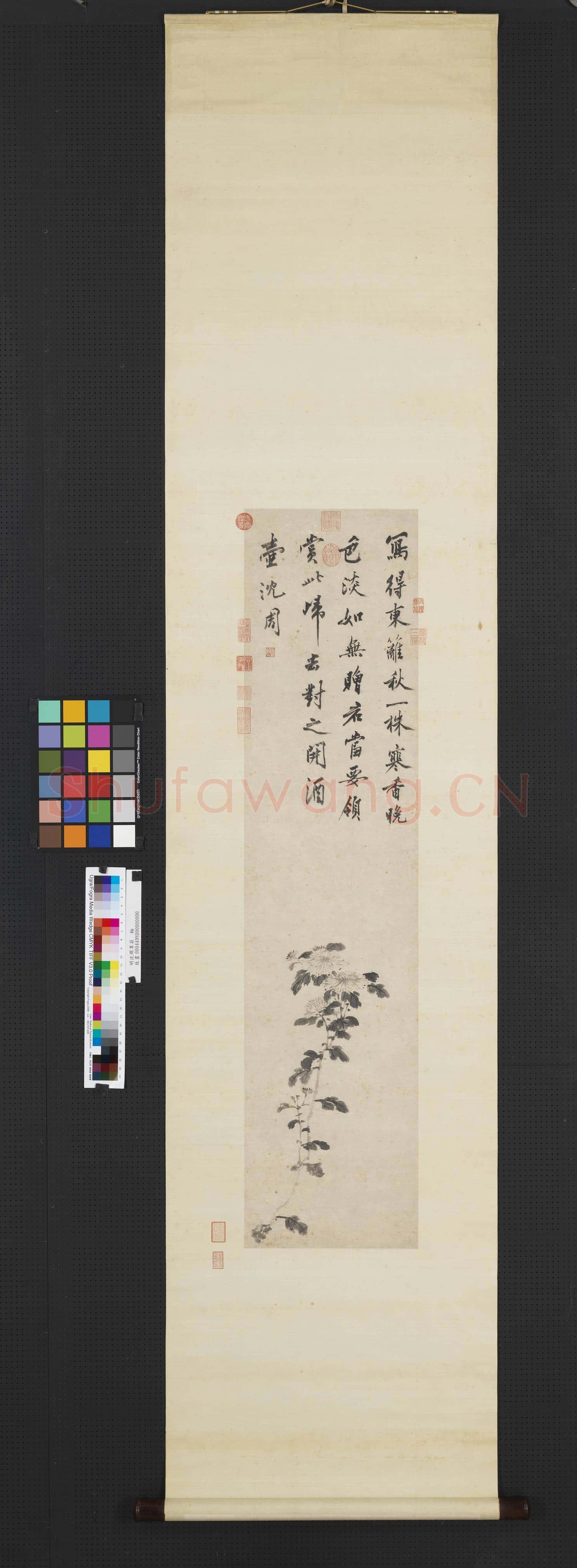 明沈周墨菊 軸